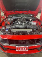 IMG_2708.jpeg