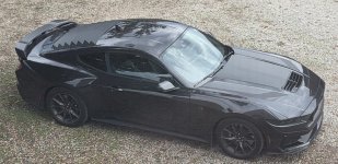 mustang dark horse.jpg