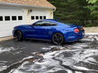 IMG_3017.jpeg